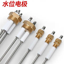 水位电极探针液位传感器锅炉蒸汽感应探头水位控制电极棒报警配件