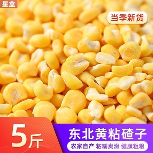 ��|��ճ���ײ�ܿ��ÓƤ���������SŴ���������������½ﳣ��