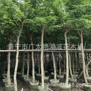 V|ՌGֲGľS滨ľ@ˇĸ潵