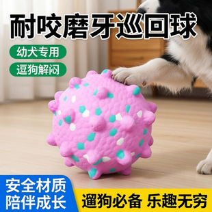 �����������߅��С����ҧ��Ȯĥ�����������␞Ѳ�����޹���