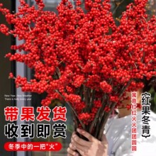 ���������r����֦�lؔ�t������͏dˮ������ϲ�c�������Ի���ֱ�l