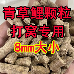 ���~���~��C�w��ͨ������������~ԭ���Ͼ���Ƥ��ڿ�Ұ�