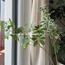 仿真3d打印绿植鸭脚木发财树户外森系工程造景做树花材美陈叶子
