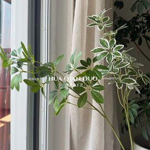 ����3d��ӡ�Gֲ���_ľ�lؔ�����ɭϵ�����쾰���仨������~��