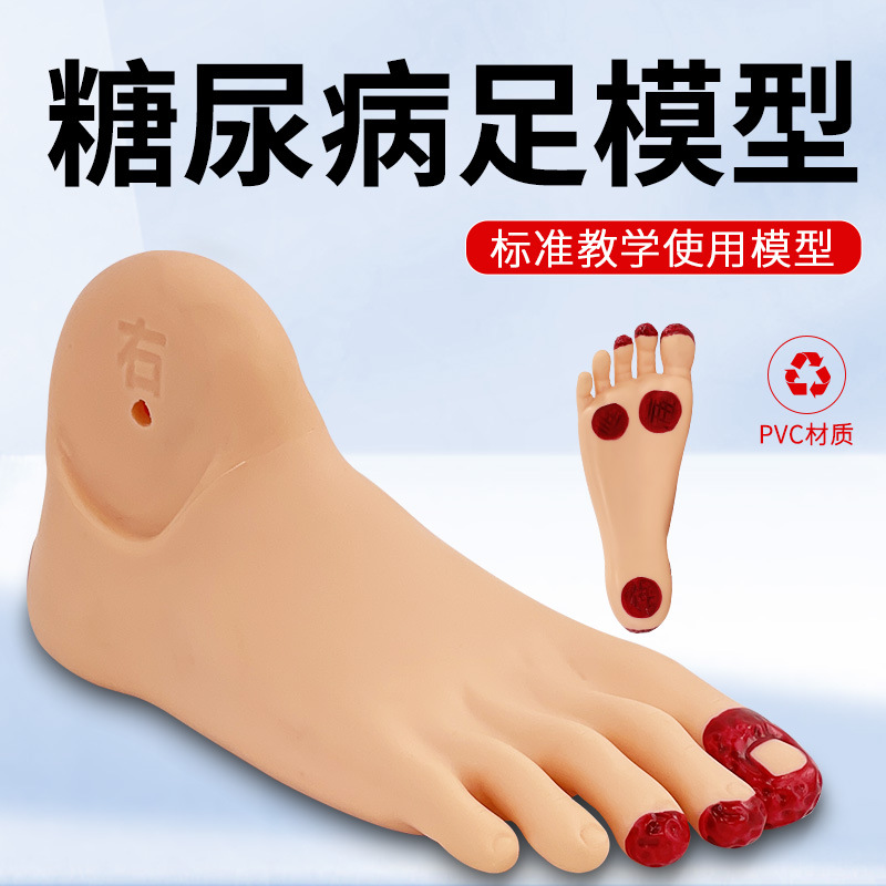 ��/���㻤��ģ�� ��/�򲡻����㲿����ģ���㲿�����仯��ģ��