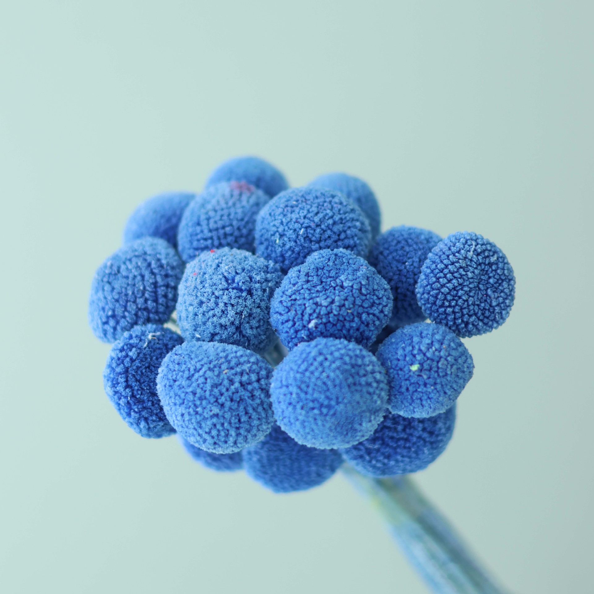 [다용도 스타일] 블루