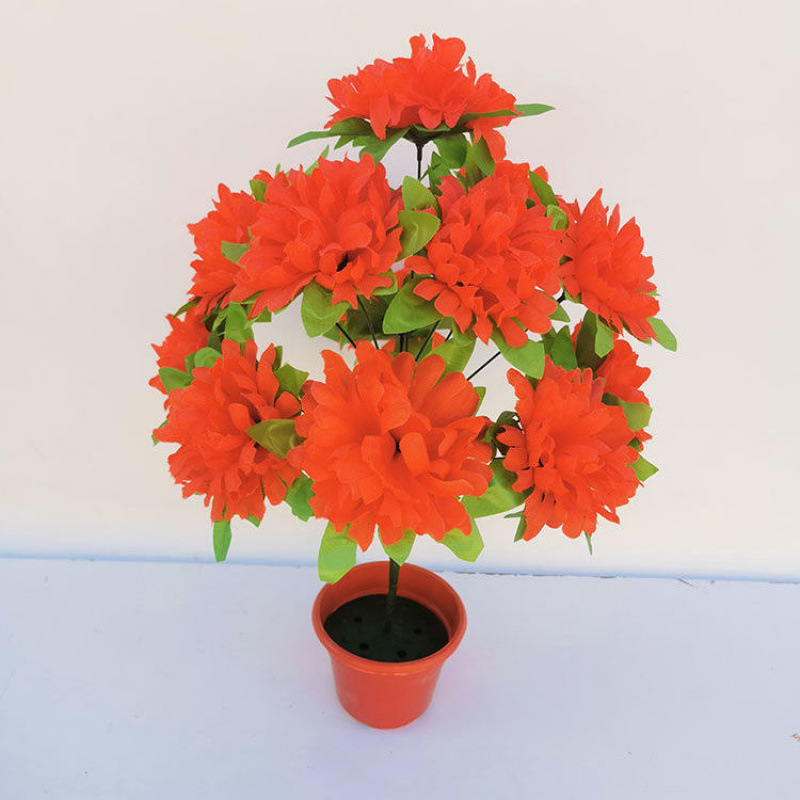 12 chrysanthemums with leaves (red) 1 branch - 1 branch + flowerpot quality choice