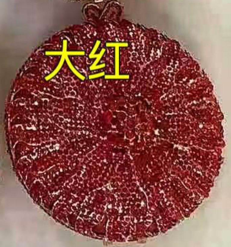 * transfronterizo nuevo paquete de diamantes de la cena del dios del sol bolso de diamantes redondo completo bolso de diamantes de banquete europeo y americano de mano bolso de diamantes de mujer embrague