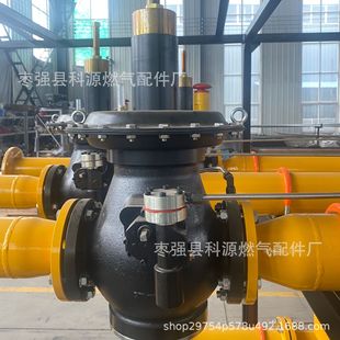 ȼ��p���y��Ȼ���Ӛ��y�{����RTZ-AQDN50���I�{���y�T���h�p���y