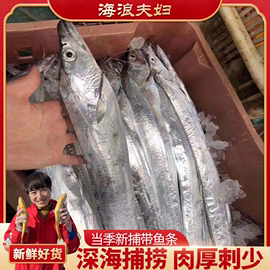 【海浪海鲜】整条带鱼 冷冻新鲜捕捞 肉厚刺少海鲜水产到手10条