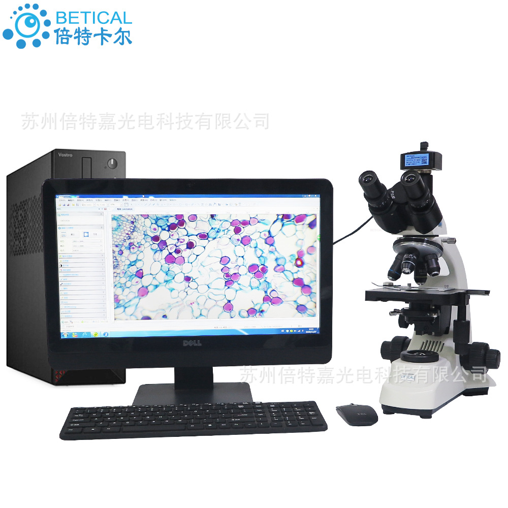 三目数码生物显微镜S500T-E630型 科研高校水质检测 USB3.0相机