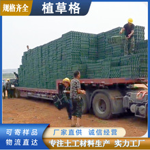 停车场专用植草格消防通道护坡园林草坪格植草格HDPE平口植草格