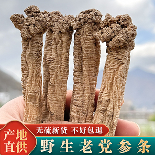 野生党参500g干货材甘肃当参黄芪当归泡水-阿里巴巴