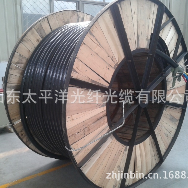 山东太平洋SPFO铜芯阻燃软电缆 聚氯乙烯 绝缘电缆 RV