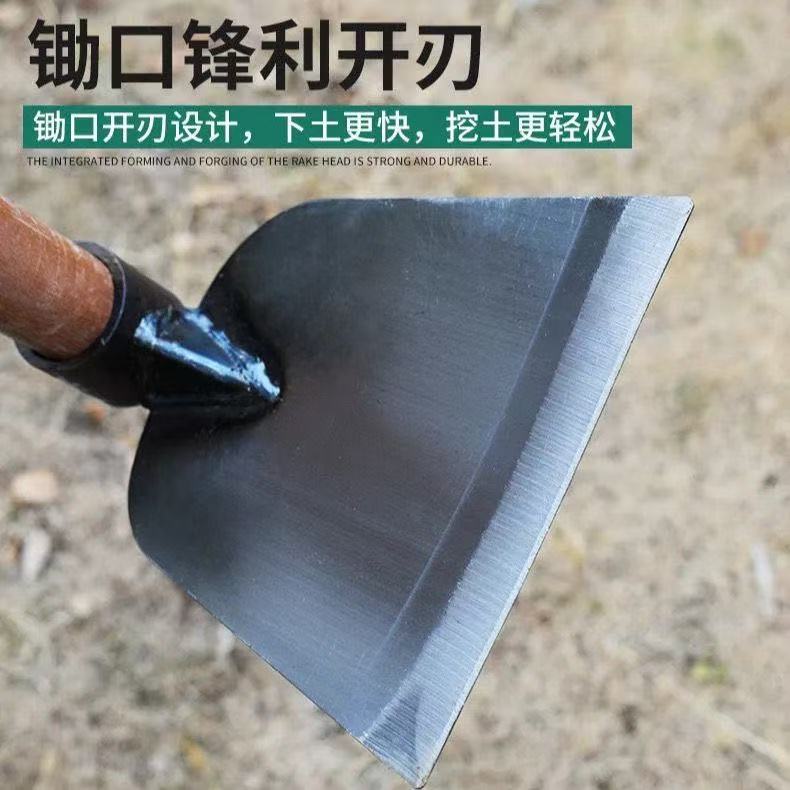 微信图片_202504141505371.jpg