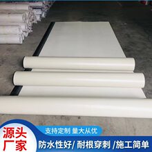 HDPE非沥青基预铺高分子防水卷材 1.5mm高分子自粘胶膜防水材料