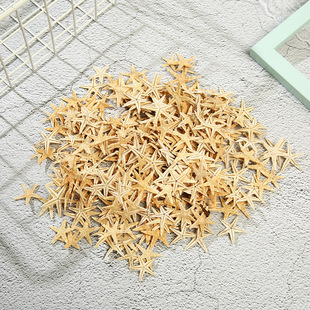Amazon Best Selling Natural Flat Starfish Mini Natural Starfish Mediterranean Micro Landscape Everlasting Flower Decoration