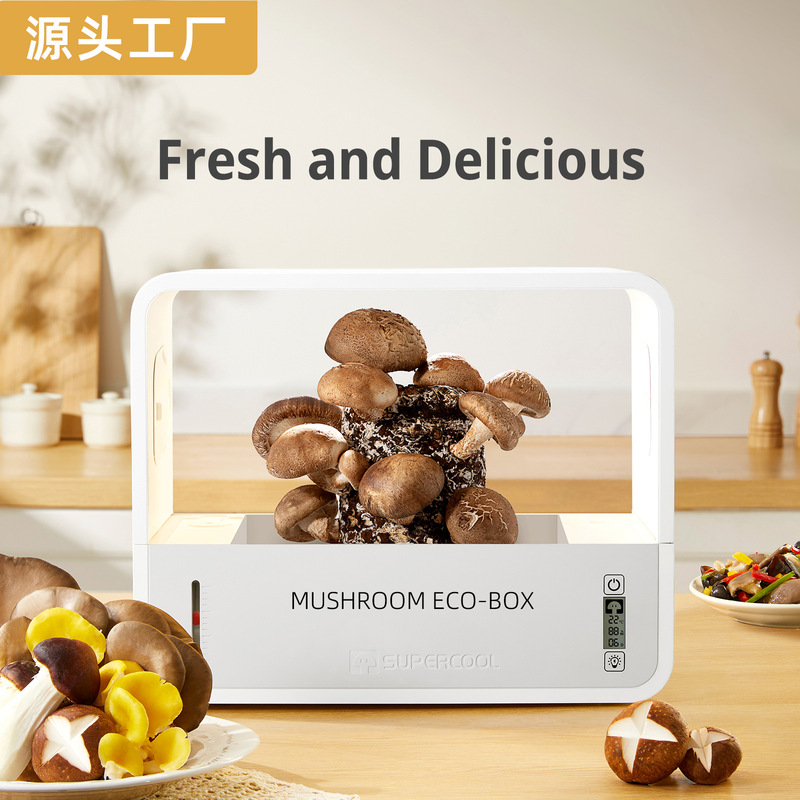 Mushroom Ecological Box English Version Smart Mushroom Planting Machine Mushroom Cultivation Machine Automatic Humidification Planting Box Cross-Border Model Mushroom Ecological Box English Version Smart Mushroom Planting Machine Mushroom Cultivation Machine Automatic Humidification Planting Box Cross-Border Model