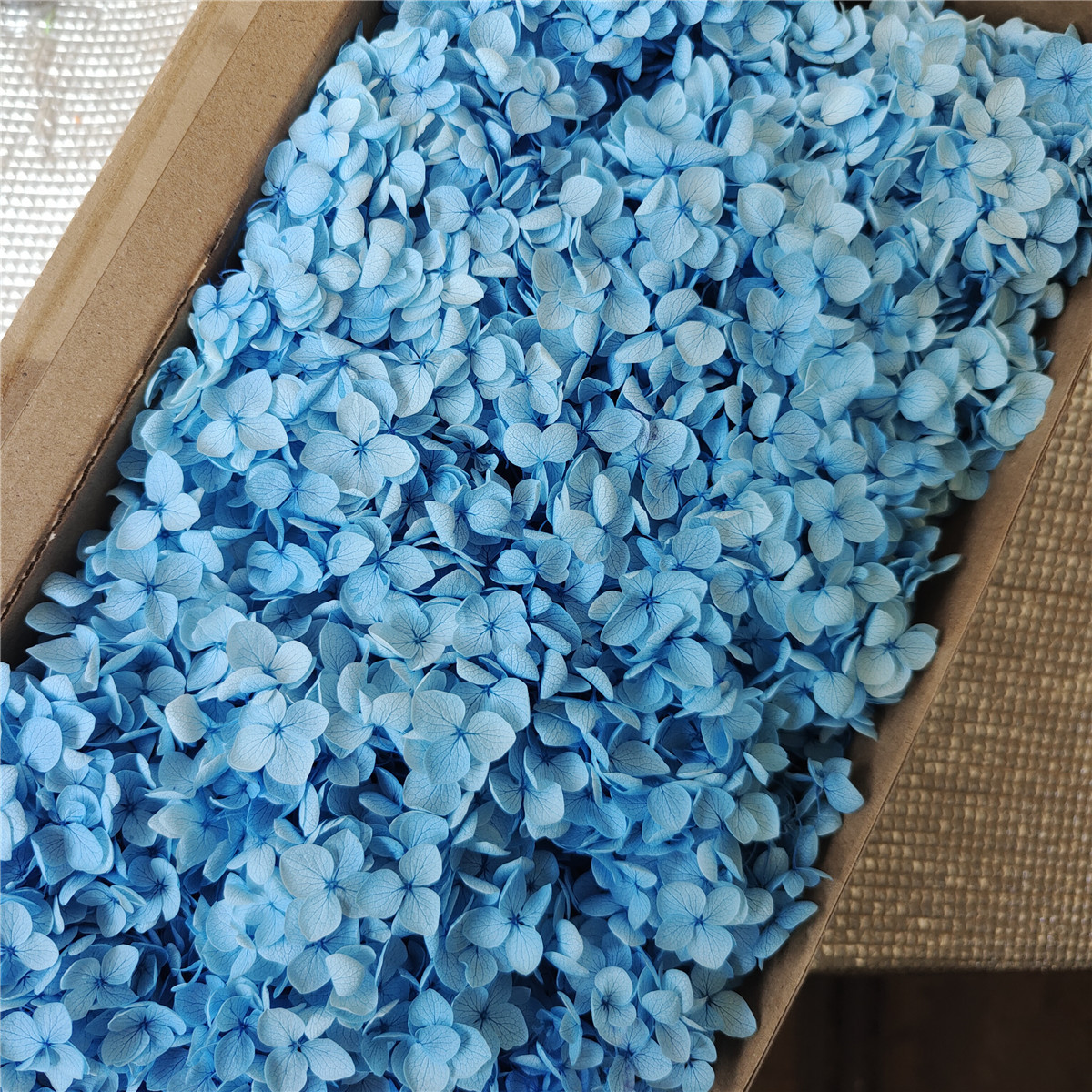 Flor eterna Hortensia Anna pequeña hoja flor seca flor real árbol de Navidad ventilador hecho a mano ramo DIY material paquete flor