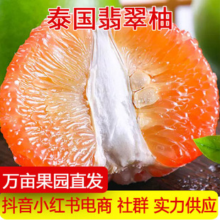 ����̩������ֽ�����Ƥ�t���ִ���������ЋD���rˮ��һ�����l