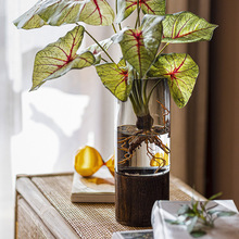 �¿�y�����~����������������廨ֲ���~���쾰�b�����ֱ�N