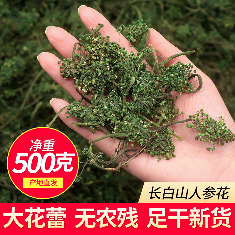 人参花500g6年野生人参大花蕾林下干花新鲜人参花