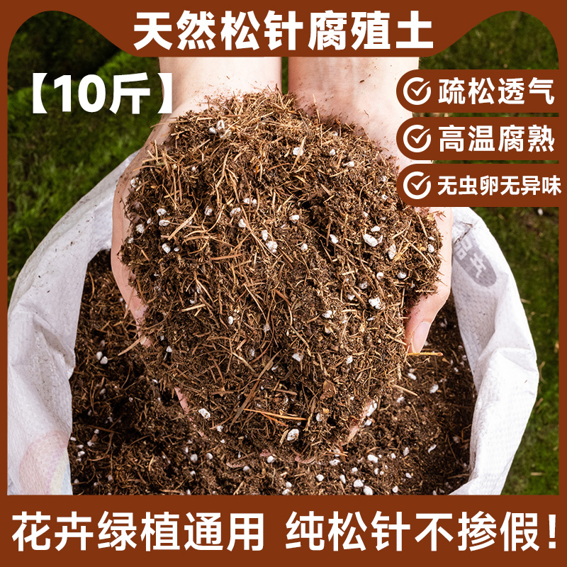 [통통하고 통기성] 천연 소나무 바늘 부식질 토양 10 진 (냄새 없음, 곤충 없음)