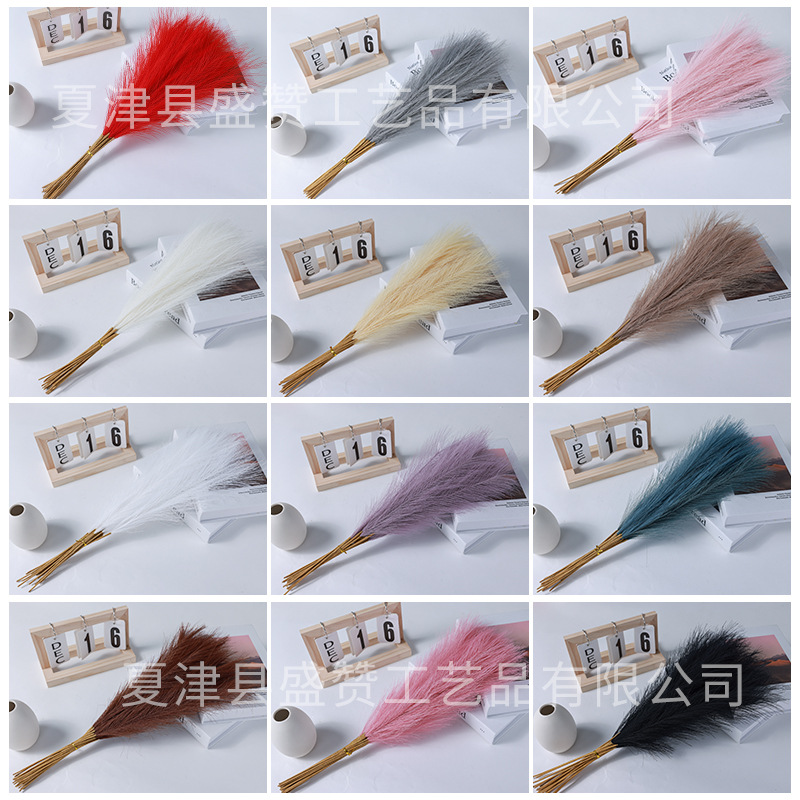 仿真烟花芦苇跨境款亚马逊ins风人造蒲苇藩帕斯草狗尾草橱窗装饰