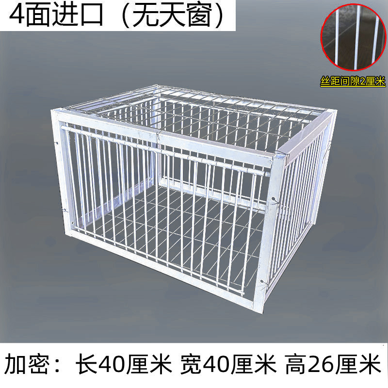 只进不出鸟笼全自动天落笼子撞门户外抓收鸽子捕加密可连续用|undefined
