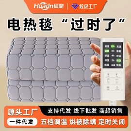 电热毯;电热毯/垫;水暖毯