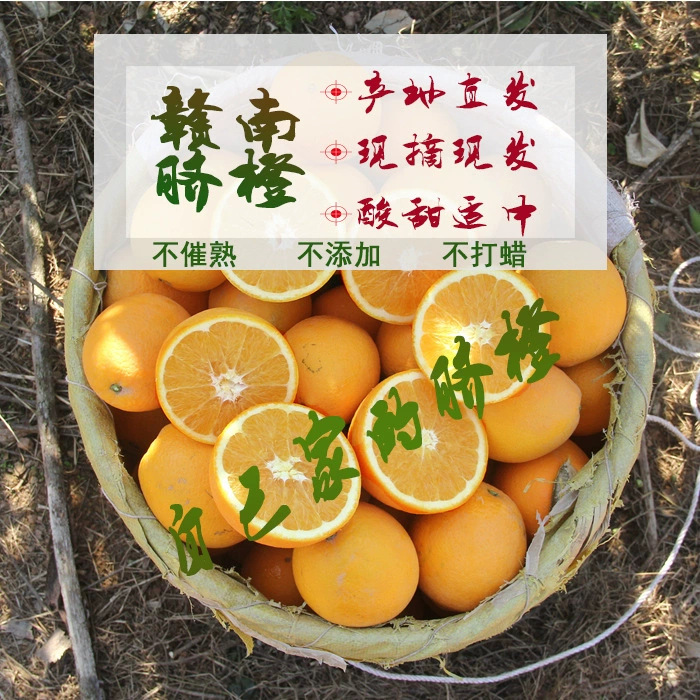 《赣州自家果园》正宗江西赣南脐橙现摘现发10斤5应季水果甜橙子