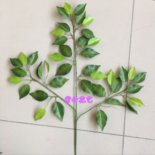 �r��������~ �٘����������~���~ �@�ֲ廨�bٽ�����@�羳