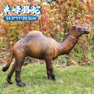 Ұ������ģ�ͷ���Ұţ��ɽ������؈ܛ�z������ˤ��ͯ���7�Y��8