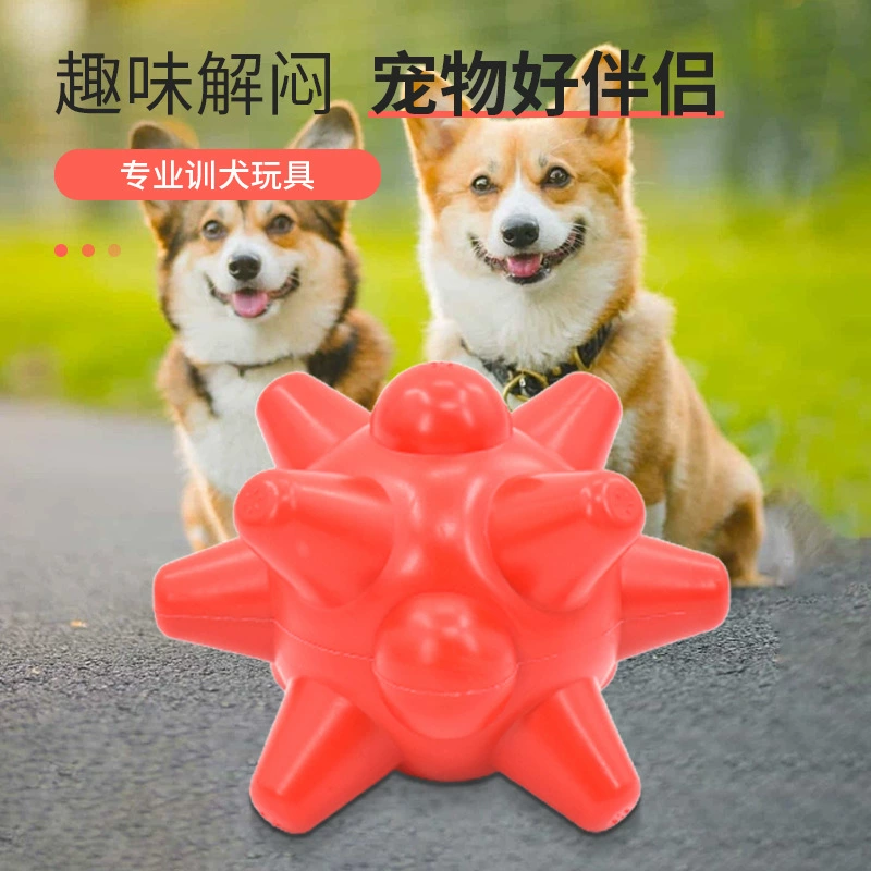 Домашние животные игрушечные шарики кусают молярные зубы