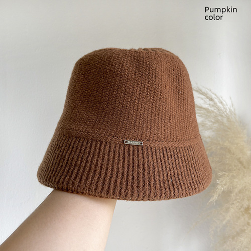 Hat autumn and winter women's small metal letter mark warm woolen hat women's ear protection hat knitted hat showing face small basin hat trendy