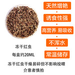红虫干 冻干红虫 六角恐龙鱼饲料 鱼食中国六六水族