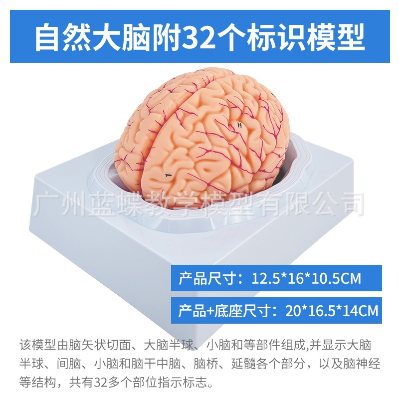 ��ģ���Թ�������ɫ��ģ�� ������Խ���ģ�� ���Զ�����������