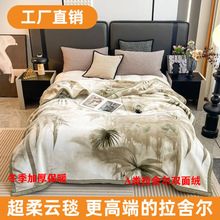 新款a类双面绒云貂绒拉舍尔毛毯冬季保暖法兰绒加绒盖毯礼品批发