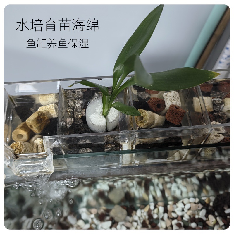 无土栽培定植棉蔬菜挖圆孔聚氨酯海绵工字口水培海绵块育苗海绵块