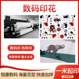 毯子枕巾抱枕沙发套涤纶面料数码印花加工绒毯毛毯动物印花