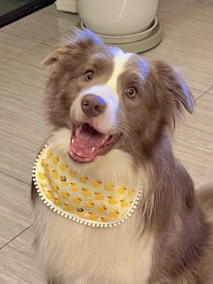 537af3bf-baaf-4e8e-aa6e-19253b15ee04.jpe