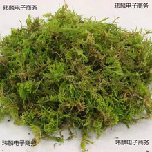 ̦�\���I�B��������m�m���Nֲʯ������ˮ̦����̦�m�����������