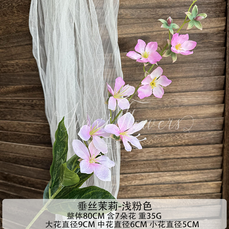 매달린 자스민