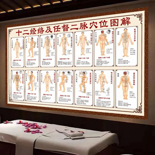 [Store Hot Sale] Twelve Meridians and Ren and Du Meridians Acupoint Chart Human Acupoint Chart Meridian Hanging Painting Traditional Chinese Medicine Care