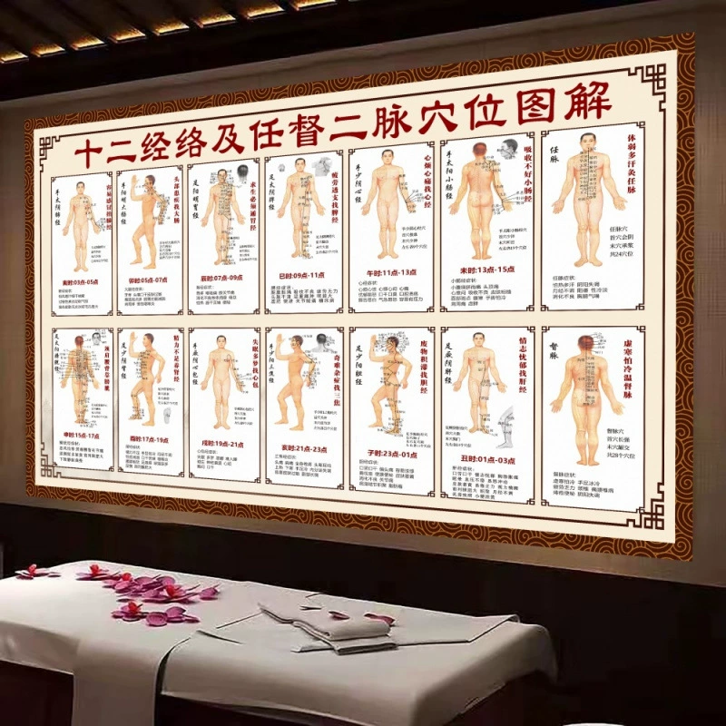 [Горячая распродажа в магазине] Двенадцать меридианов и меридианы Рен и Ду. Таблица акупунктурных точек человека. Таблица акупунктурных точек. Меридиан. Подвесная картина. Традиционная китайская медицина.