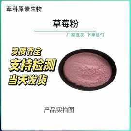 现货批发 草莓粉 喷雾干燥草莓粉  草莓汁粉 草莓果粉水溶草莓粉