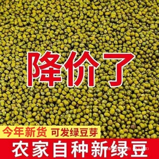 �|���¾G��100g-5���w��M�Ҝ��G��ɳ��Ʒ�l��ѿ�G�����������l
