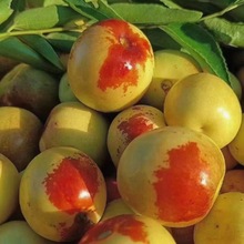 ���r�ඬ�� �Fժ�F�l�����֭�r�� ɽ�|մ����������ă�