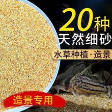 鱼缸底砂造景底沙乌龟河沙化妆沙白沙子雨林沙原生缸溪流砂铁胆沙