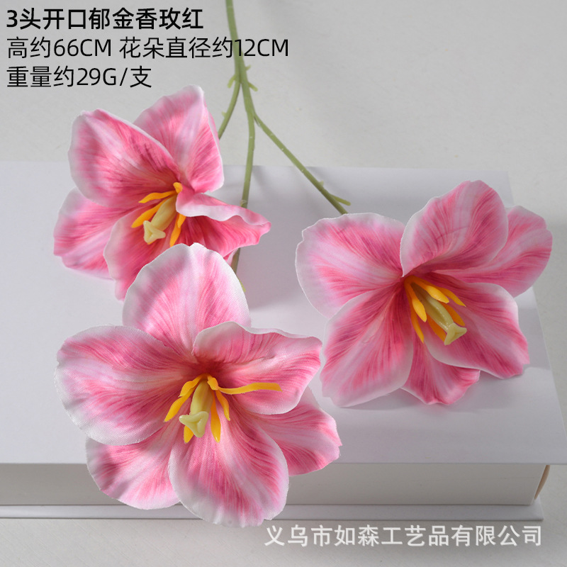 Tulipán abierto rosa rojo